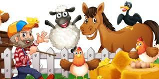 De dieren op de kinderboerderij